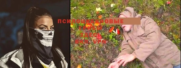 прущие крисы Армянск