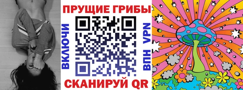 Галлюциногенные грибы ЛСД Петрозаводск